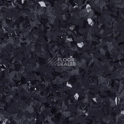 Линолеум Tarkett iq Toro Sc BLACK 0103 фото 1 | FLOORDEALER